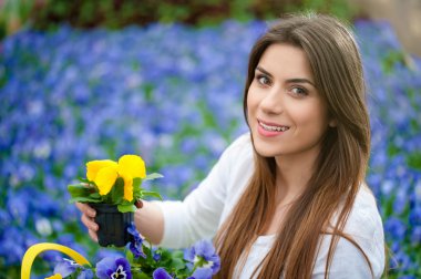 Bahar mevsimi doğada