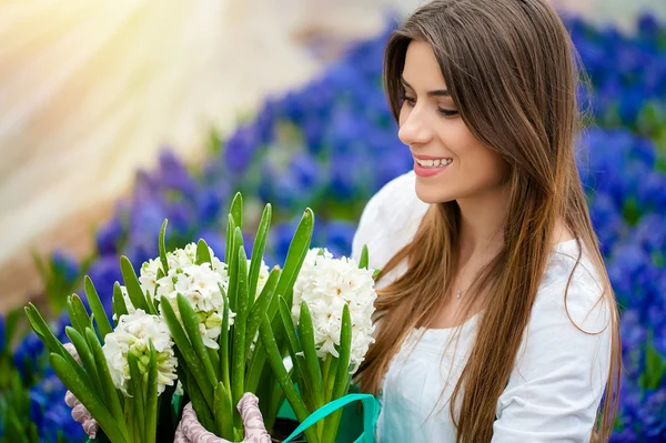 Mooie bloemen in pot — Stockfoto