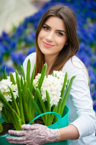 Mooie witte hyacint — Stockfoto