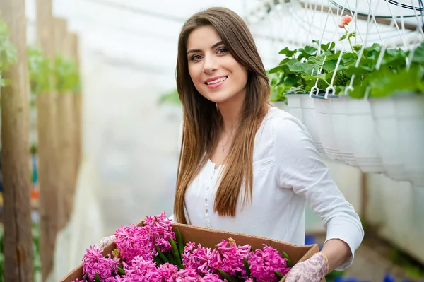 Lente seizoen in de natuur — Stockfoto