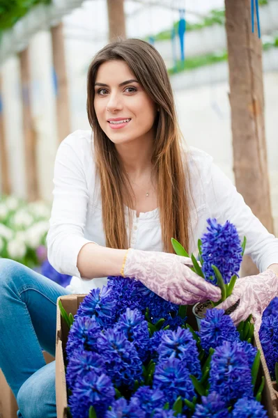 Recogiendo flores del jardín . — Foto de Stock