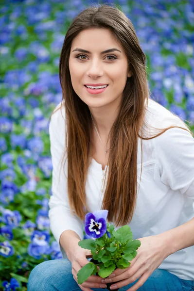 Temporada de primavera en la naturaleza — Foto de Stock