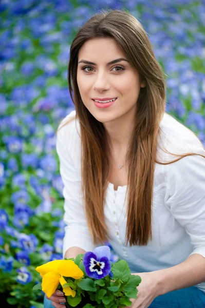 Lente seizoen in de natuur — Stockfoto