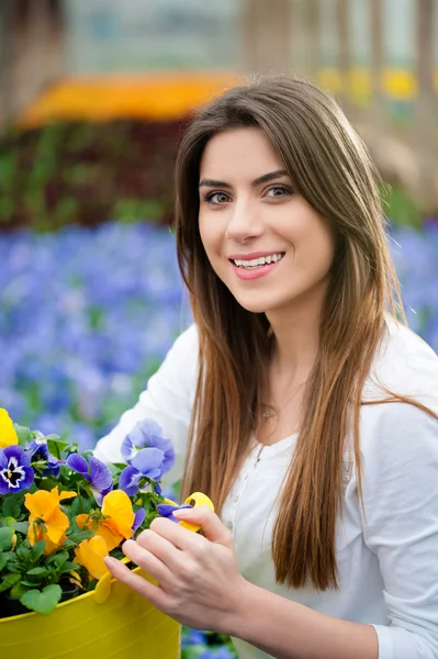 Farbenfrohe Blumen im Frühling. — Stockfoto