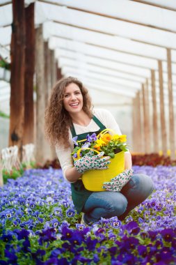 Menekşe Çiçek Bahçesi