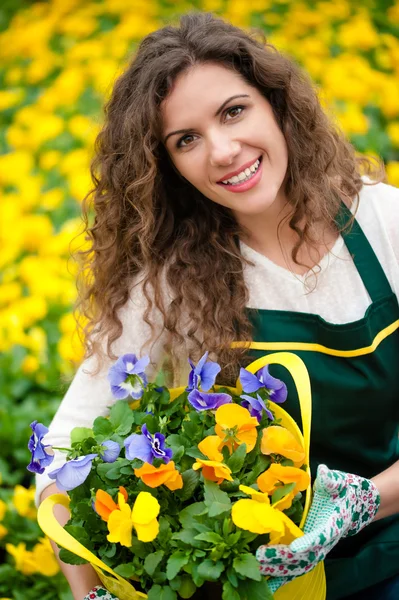Mujer joven en jardín de flores amarillas recogiendo una maceta — Foto de Stock
