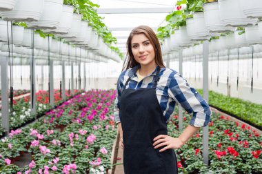Çiçekçi kadın çiçekler sera içinde çalışma.