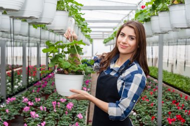 Çiçekçi kadın çiçekler sera içinde çalışma.
