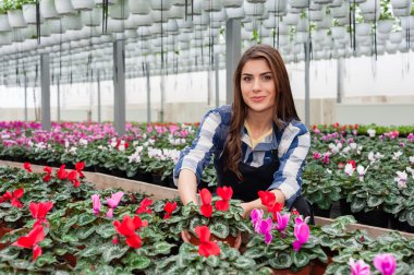 Çiçekçi kadın çiçekler sera içinde çalışma.