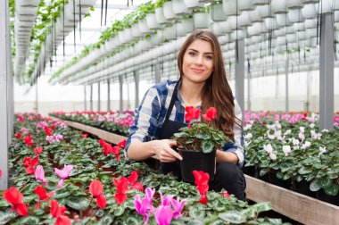 Çiçekçi kadın çiçekler sera içinde çalışma.