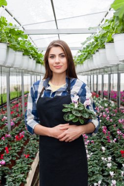 Çiçekçi kadın çiçekler sera içinde çalışma.