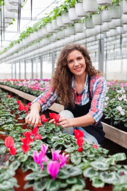 Çiçekçi kadın çiçekler sera içinde çalışma.