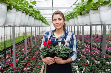 Çiçekçi kadın çiçekler sera içinde çalışma.