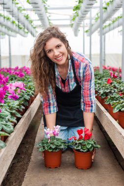 Çiçekçi kadın çiçekler sera içinde çalışma.