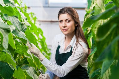 Sera içinde İşte genç bir kadın portresi