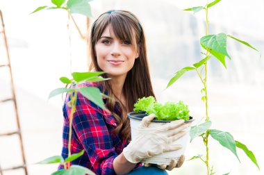 Salata fidan serada tutan genç kadın.