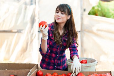 Domates elinde tutan ve gülümseyen.