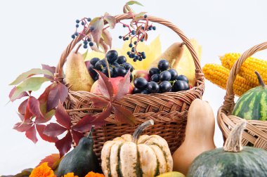 Sonbahar ve Şükran kavramı.