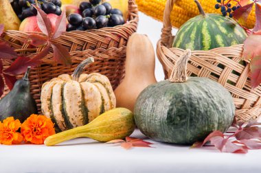 Sonbahar ve Şükran kavramı.