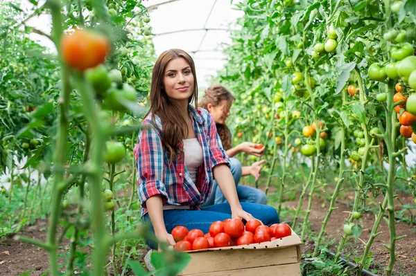 Young smiling agriculture woman worker in front and colleague in back — Stock Photo, Image