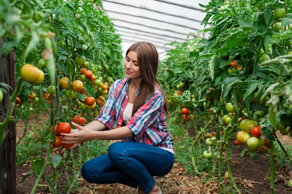 Schöne junge Frau bei der Gartenarbeit und lächelt in die Kamera — Stockfoto