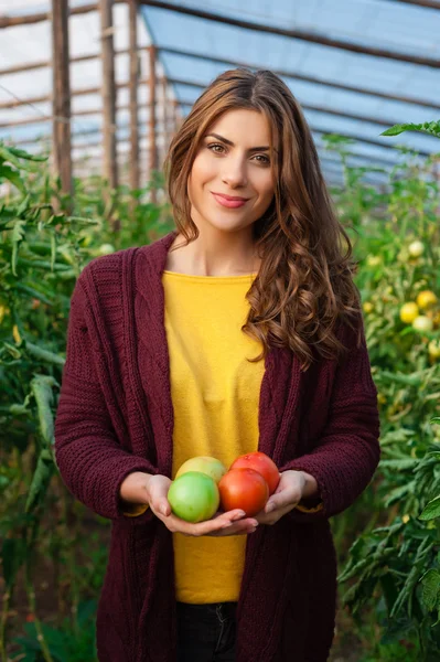 Jeune femme mains tenant des tomates rouges , — Photo