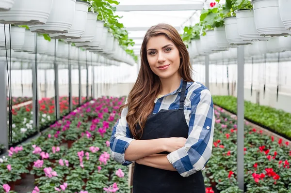 Florists woman working with flowers in a greenhouse. — Stock Photo, Image