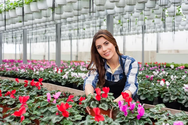 Květinářství žena pracující s květinami ve skleníku. — Stock fotografie