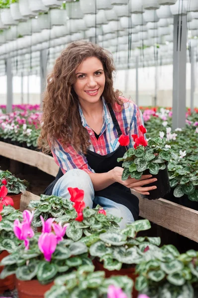 Floristas mujer trabajando con flores en un invernadero . —  Fotos de Stock