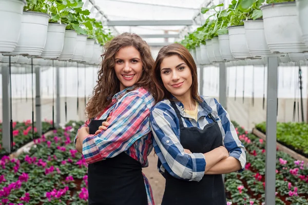Floristas mujeres que trabajan con flores en un invernadero . — Foto de Stock
