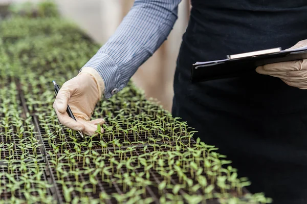 Biotechnology woman engineer with a clipboard and pen examining a plant for disease! — Stock fotografie