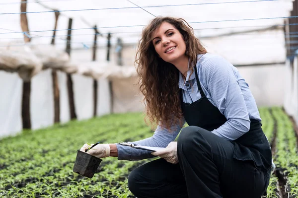 Biotechnology woman engineer with clipboard and pen, examining plants for disease — 스톡 사진