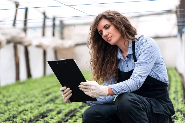 Biotechnology woman engineer with clipboard and pen, examining plants for disease — Stok fotoğraf