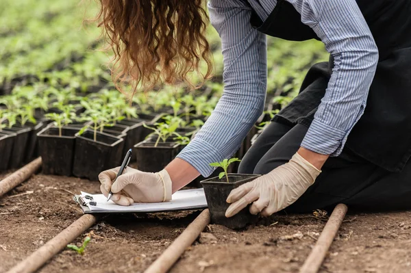 Biotechnology woman engineer with a clipboard and pen examining a plant for disease! — 图库照片