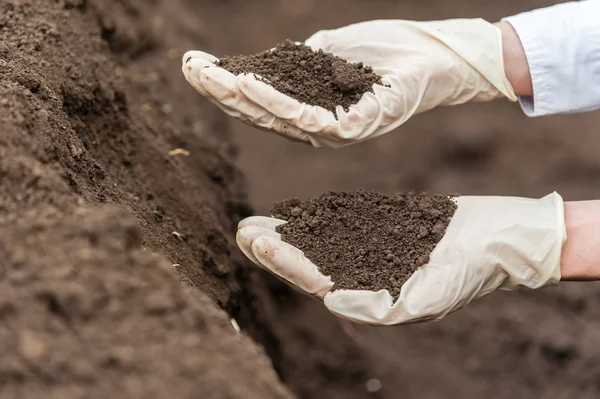 Researcher technician holding soil in hands