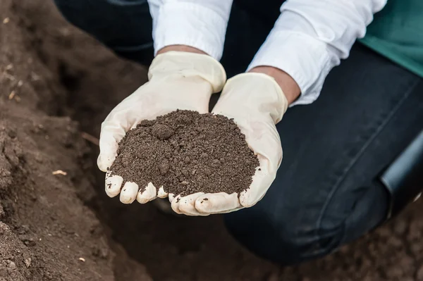 Researcher technician holding soil in hands — 스톡 사진