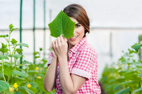 Hermosa joven jardinería y sonriendo a la cámara sosteniendo una hoja de pepino . — Foto de Stock