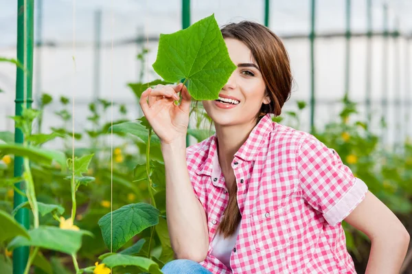 Schöne junge Frau bei der Gartenarbeit und lächelt in die Kamera mit einem Gurkenblatt. — Stockfoto
