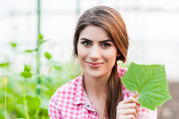 Hermosa joven jardinería y sonriendo a la cámara sosteniendo una hoja de pepino . —  Fotos de Stock