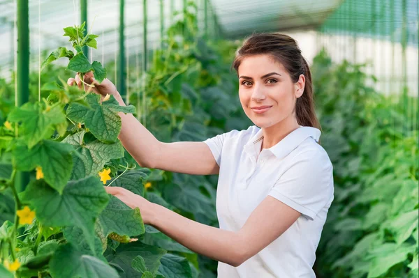 Felice giovane donna che tiene i cetrioli — Foto Stock