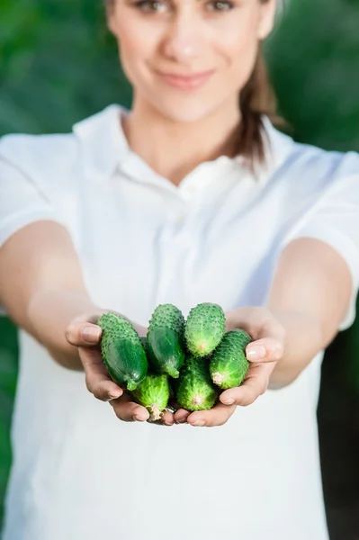 Woman hands holding cucumbers — Stock Photo, Image