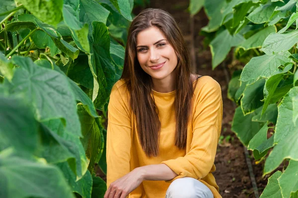 Jonge mooie vrouw in een kas oogsten komkommers — Stockfoto