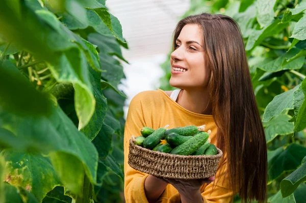 Schöne Frau hält einen Korb mit Gurken — Stockfoto