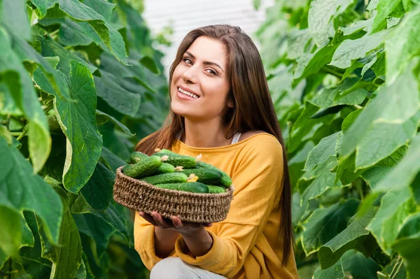 Beautiful woman holding a basket with cucumbers — Stock Photo, Image