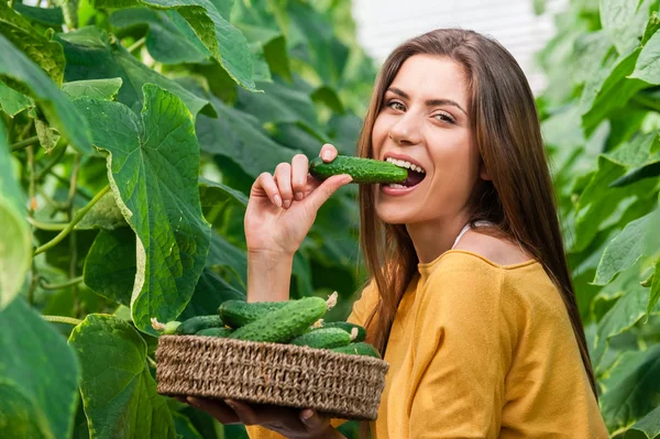 Жінка їсть огірок — стокове фото