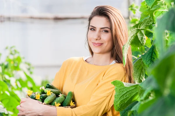 Schöne Frau hält einen Korb mit Gurken — Stockfoto