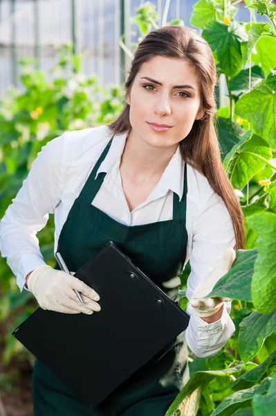 Ritratto di una giovane donna al lavoro in serra — Foto Stock