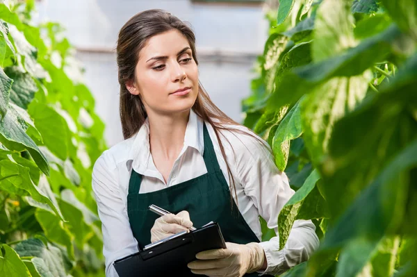 Ritratto di una giovane donna al lavoro in serra — Foto Stock