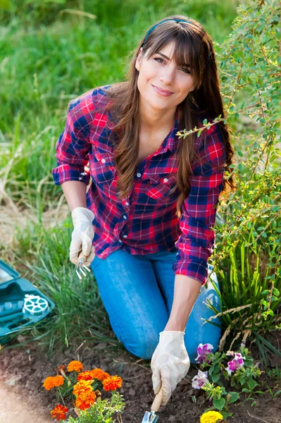 庭の花の世話をする若い女性. — ストック写真