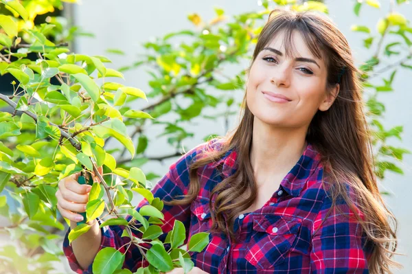 Mujer joven cuidando de la naturaleza. Cortar una rama de árbol enferma . — Foto de Stock